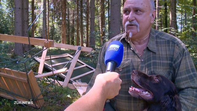 Vandalen zerstören 8 Hochsitze bei Winterthur