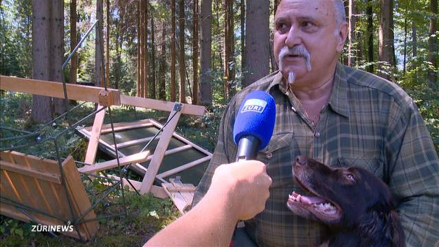 Vandalen zerstören 8 Hochsitze bei Winterthur