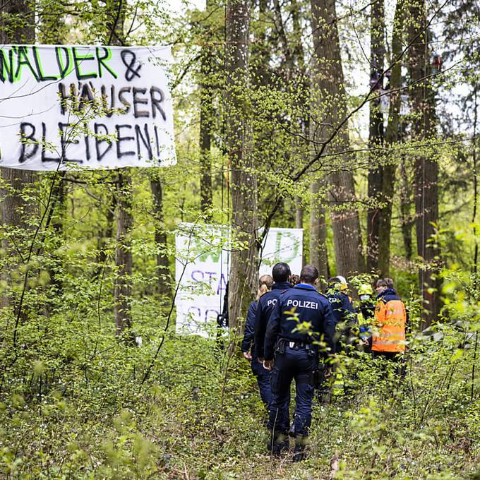 Waldbesetzer von Rümlang fechten Bussen an