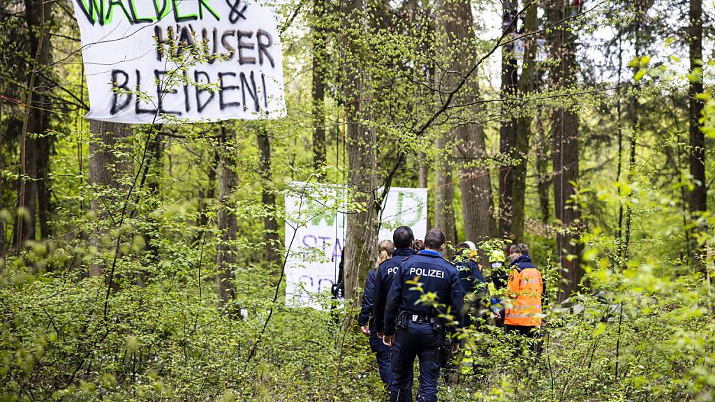 Die Polizei räumte die Waldbesetzung im April 2023: Vier Aktivisten wehren sich am Freitag vor dem Dielsdorfer Bezirksgericht nun gegen erhaltene Bussen.