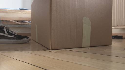 Ausserterminliche Kündigung der Wohnung