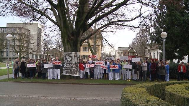 Krähen-Baum soll trotz Schonzeit und Demos weichen