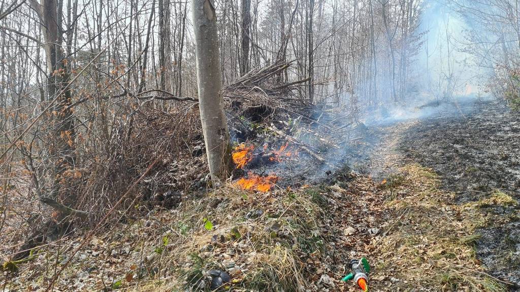 Vorsicht beim Bräteln: Waldbrandgefahr noch immer erhöht
