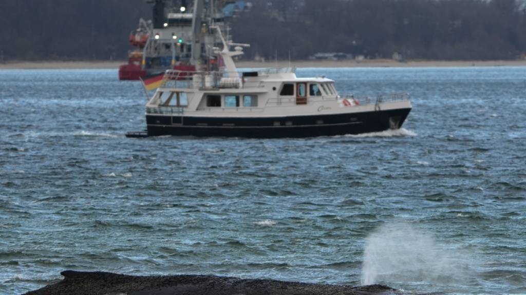dpatopbilder - Der gestrandete Wal liegt im Wasser der Ostsee vor der Seebrücke am Hafen Niendorf. Foto: Marcus Brandt/dpa