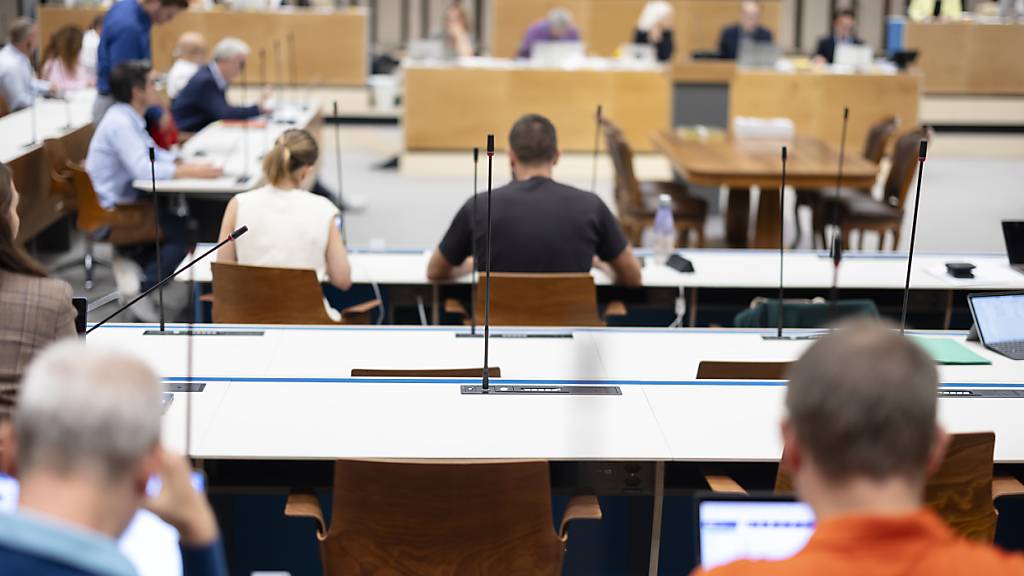 Die Kommissionen, welche die Geschäfte für den Zürcher Gemeinderat vorbereiten, können ihre Sitzungen auch online abhalten. Dies wird neu in der Geschäftsordnung verankert. (Archivbild)
