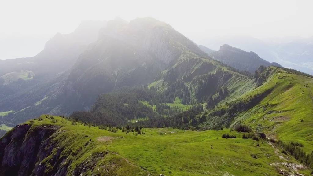 Freiwillige kümmern sich um Wanderwege