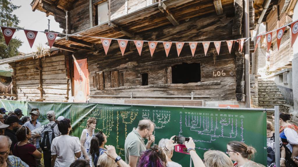 In Evolène im Unterwallis ist am Sonntagnachmittag ein Stammbaum von einzigartiger Grösse enthüllt worden.