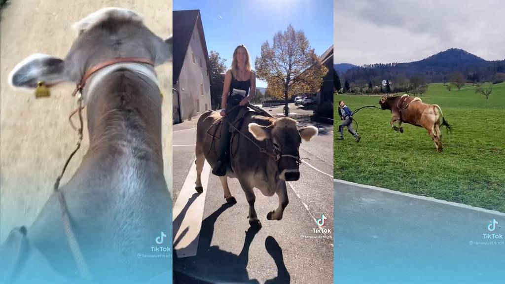 Diese junge Frau aus Solothurn reitet eine Kuh
