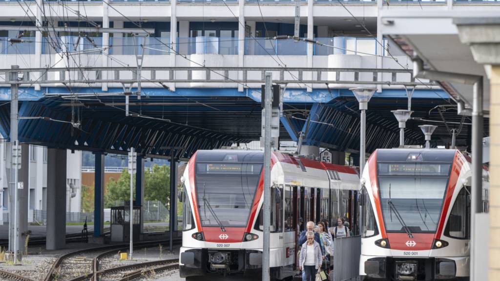 Isolatorbrand stört in Hochdorf LU Bahn- und Strassenverkehr