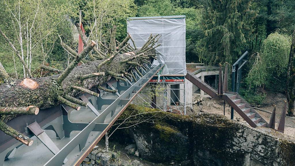 Die Raubkatzen des Zürcher Zoos werden künftig über diesen Steg in neue Anlageteile gelangen können. Der Catwalk führt in 4,5 Metern Höhe über die Köpfe der Besuchenden hinweg.