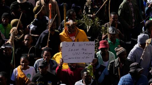 Tausende protestieren gegen Migranten in Südafrika