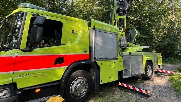 Zürcher Feuerwehr rettet Baby-Büsi aus zwölf Metern Höhe