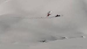 Tiger Melchsee-Frutt