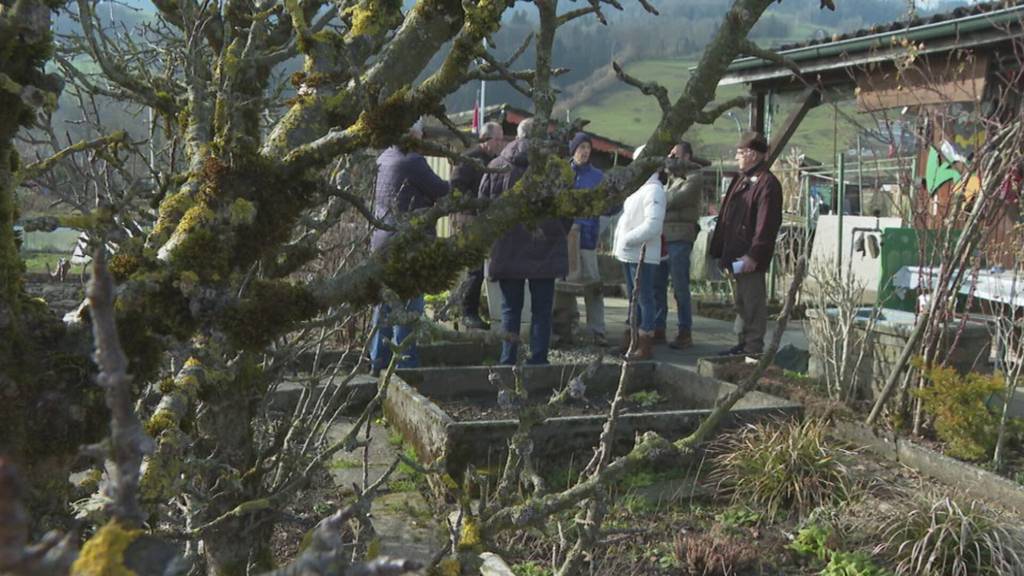 Schrebergärten in Kriens müssen früher weg