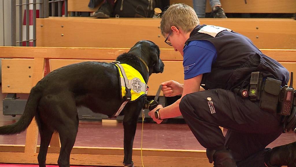 Schweizer Hundefachmesse 