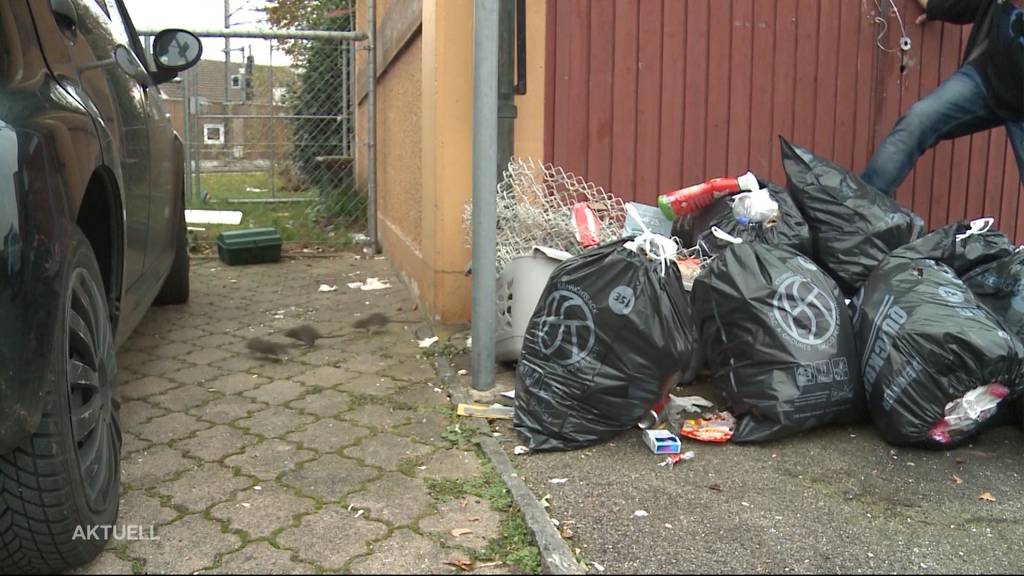 Mieter kündigen: Rattenproblem in Suhrer Quartier