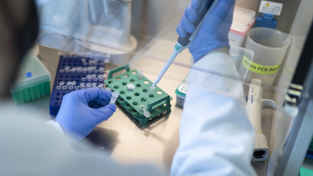 Im Abwasser lesen Forschende der Eawag Daten zu zahlreichen Viren und Substanzen ab. (Archivbild)