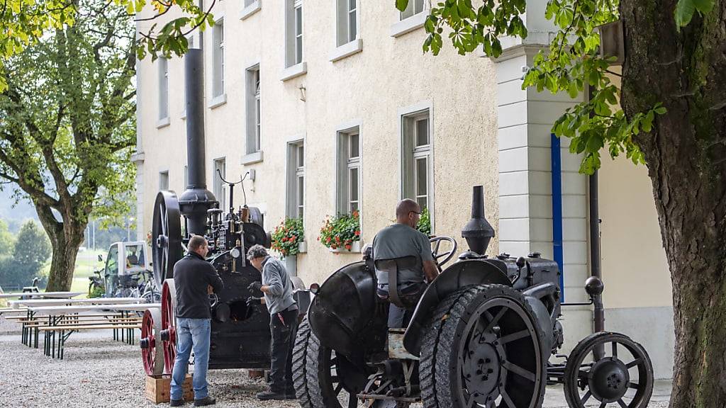 Das Agrarmuseum Burgrain in Alberswil erhält Geld aus dem Lotteriefonds des Kantons. (Archivbild)