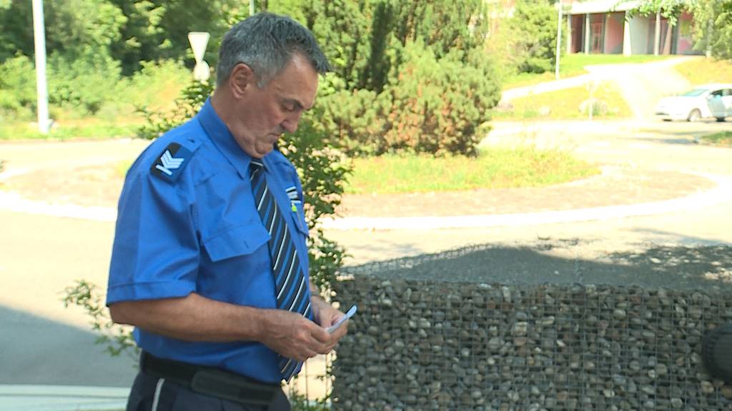 Weitere Sichtungen des Hallwilersee-Kaimans gemeldet