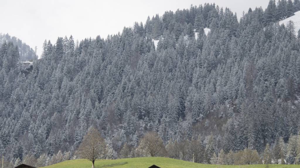 In Erlenbach im Simmental verunfallte vor zwei Wochen ein Mountainbiker. Nun erlag er seinen Verletzungen. (Symbolbild)