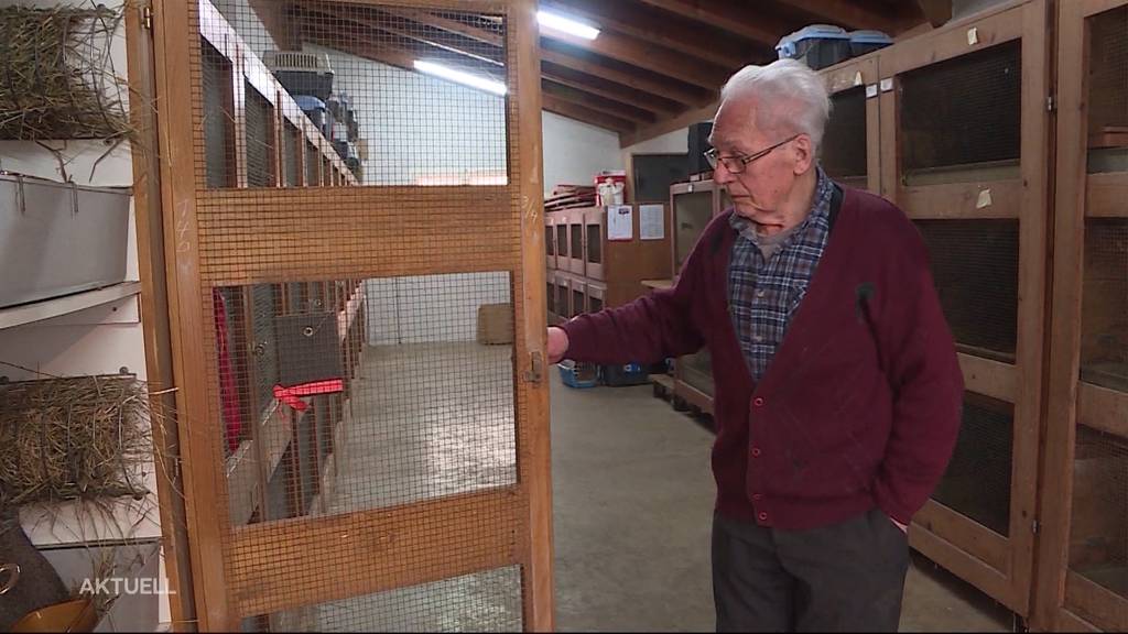 Hat Tierschützerin über 100 Kaninchen gestohlen?