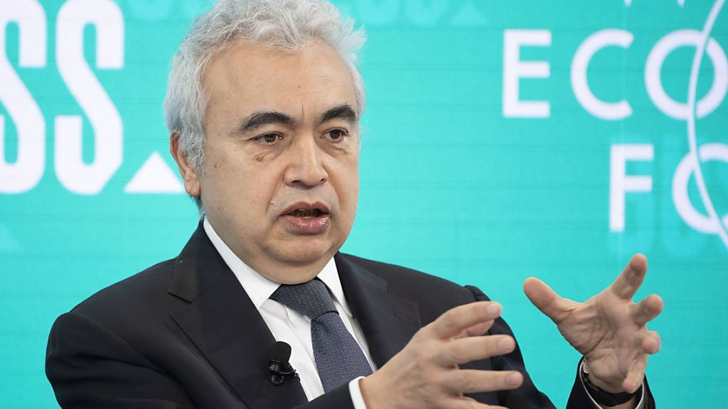 FILED - Fatih Birol, Executive Director of the International Energy Agency, speaks during the Annual Meeting 2019 of the World Economic Forum. Photo: Valeriano Di Domenico/World Economic Forum/dpa