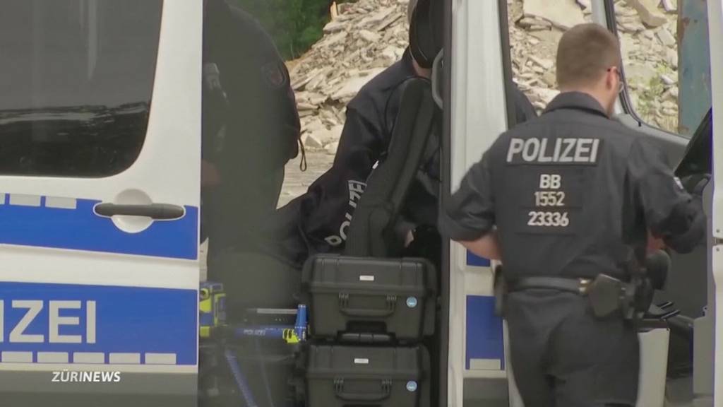Löwe ausgebüxt: In Berlin sucht die Polizei nach einer Raubkatze