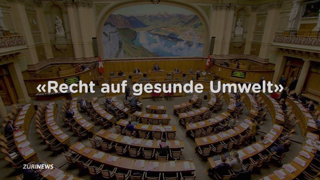 Nur zwölf Prozent der Vorstösse kommen im Parlament durch