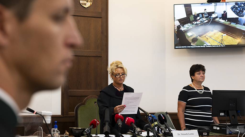 Vier Jahre nach einem Schiffsunglück auf der Donau mit 28 Toten hat ein Gericht in Budapest den Kapitän eines Flusskreuzers zu einer Gefängnisstrafe verurteilt. Foto: Denes Erdos/AP/dpa