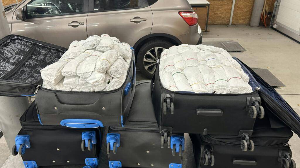 In den Koffern befanden sich mehr als 125 Kilogramm Khat-Produkte.