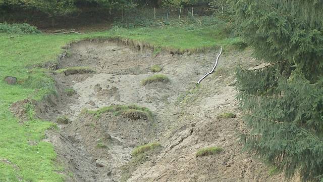 Bottwiler Landwirt im Stich gelassen