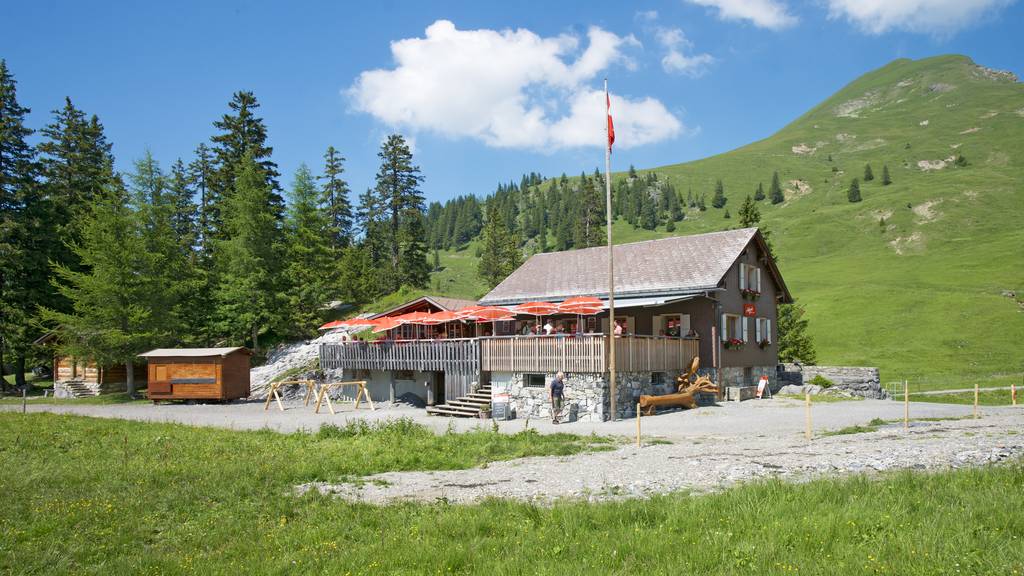 Älggialp Sachseln Bergrestaurant