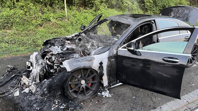 Plötzlich stiegen Flammen aus dem Motorraum auf – Auto Totalschaden
