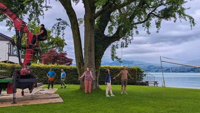 Badi-Gäste wollen mit Menschenkette alten Baum vor Fällung retten