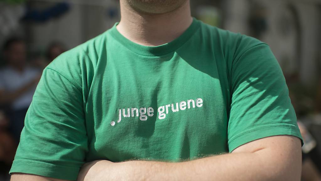 Ein Junger Grüner am 10-Jahre-Jubiläumsfest 2014 in Wabern bei Bern.