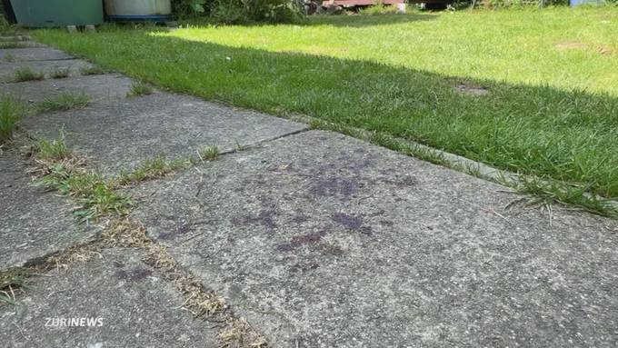 Deutscher stirbt nach Streit bei den Schrebergärten in Winterthur