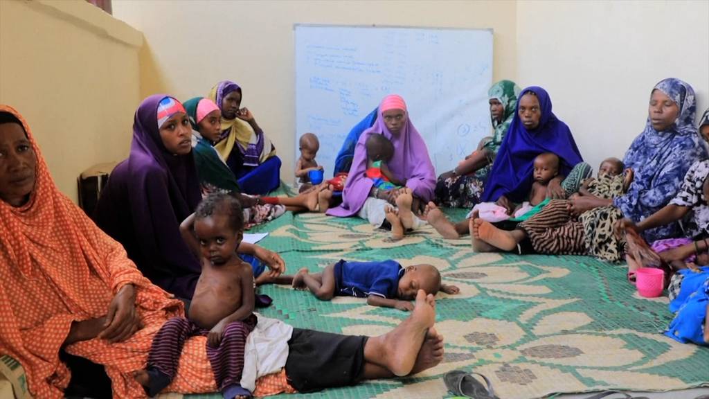 Klimakrise und Ukraine-Krieg – Somalia steht vor Hungerkatastrophe