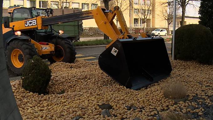 Anhänger kippt in Kreisel: Traktorfahrer verliert mehrere Tonnen Kartoffeln