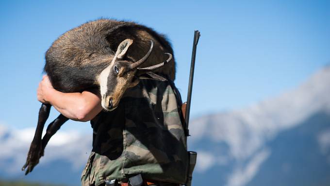Berner Kantonsparlament schmettert Alkoholverbot auf der Jagd ab