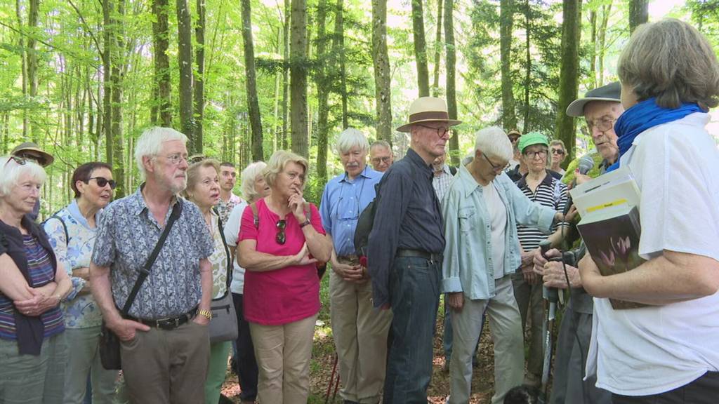 Geologe mit grossem Wissen