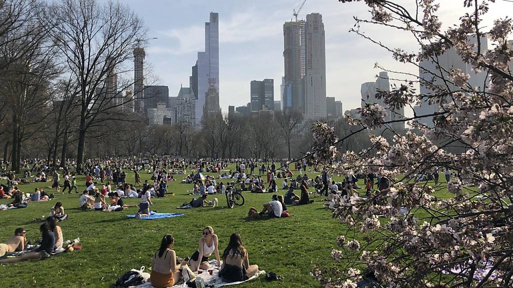 Mehr als 40 Millionen Menschen kommen jedes Jahr in den New Yorker Central Park - nur rund 2,5 Millionen schauen jedoch am Nordende vorbei. Dieses soll nun aufgewertet werden. (Archivbild)