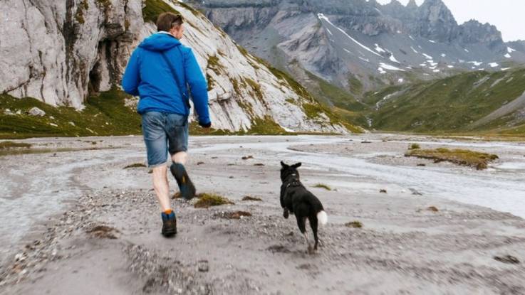 Eine Aargauer Hunde-Geschichte – Auf den Spuren eines rumänischen Strassenhundes