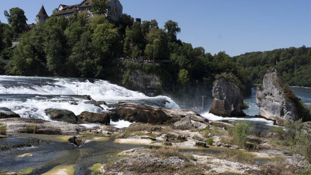 Junger Mann stirbt bei Flurlingersteg in Neuhausen am Rheinfall SH