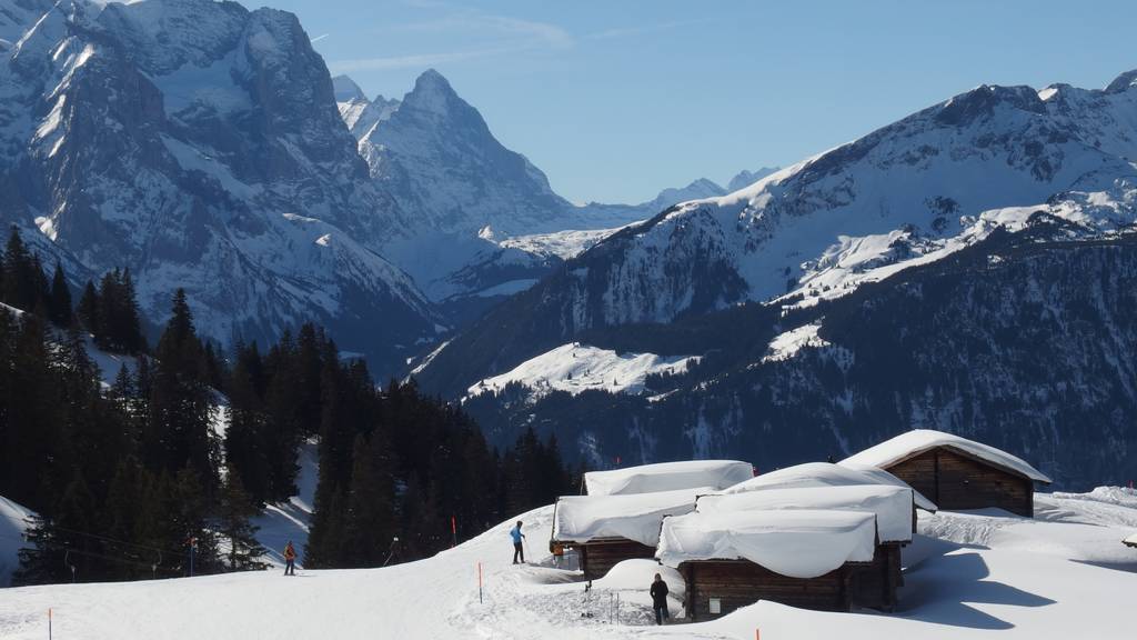 Ausflug Meiringen-Hasliberg-Alpentower