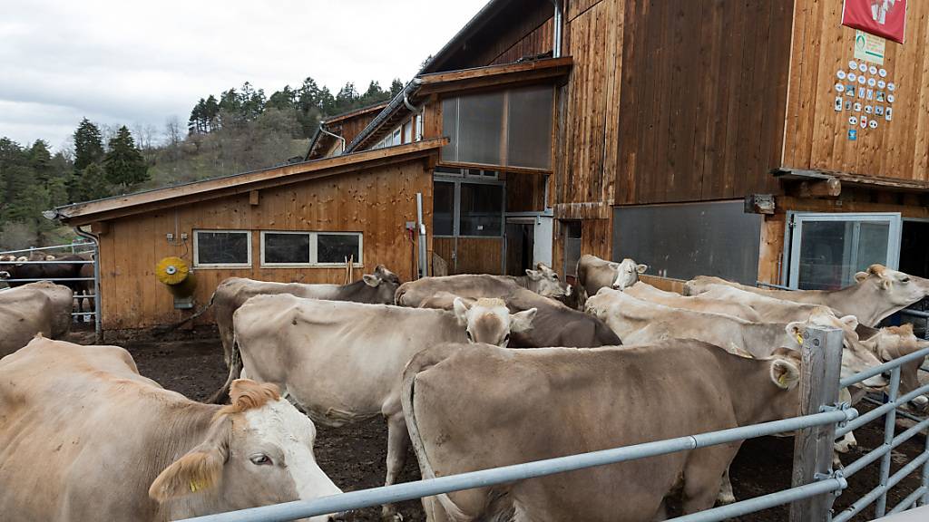 Ein Freilaufstall auf einem Berg-Landwirtschaftsbetrieb in Peist im bündnerischen Schanfigg. Amtliche Tierärztinnen und Tierärzte inspizierten letztes Jahr 26 Prozent der 4416 registrierten Nutztierhaltungen in Graubünden und Glarus. (Archivbild)