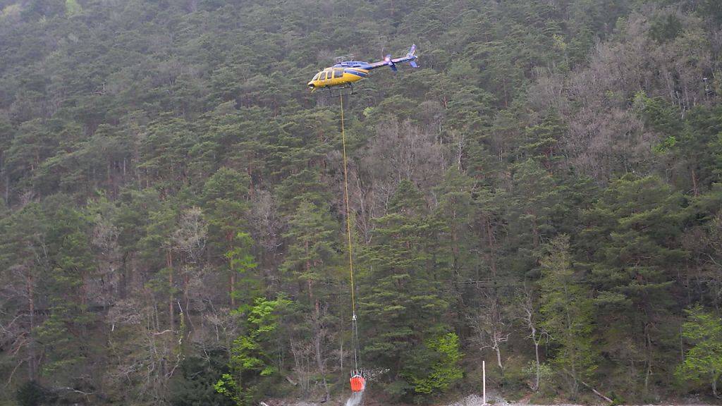 Ein Helikopter schöpft bei Gersau SZ Wasser aus dem Vierwaldstättersee, um einen in der Nacht ausgebrochenen Waldbrand zu löschen.