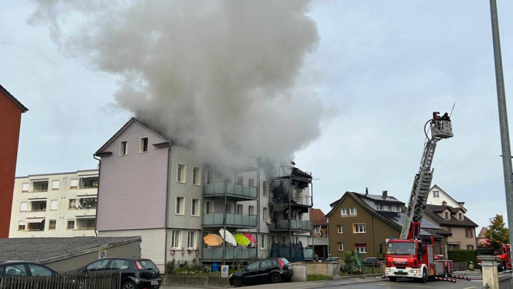 Auch mit einer Autodrehleiter bekämpfte die Feuerwehr den Brand in Arbon.