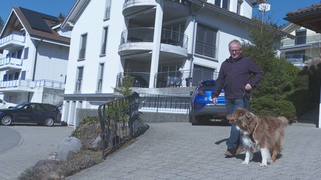Knatsch in Oberägeri um Hunderegeln