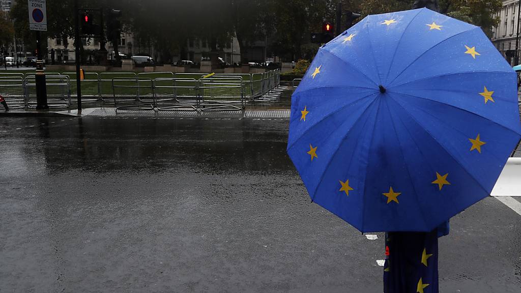 Ein pro-europäischer Demonstrant hält einen Regenschirm in den Farben der Europaflagge und steht vor dem Parlament. EU-Ratschef Michel hat von Großbritannien Klarheit über den anvisierten Handelspakt nach dem Brexit gefordert. Die EU und Großbritannien streiten seit Monaten über die Bedingungen des Vertrags, der die wirtschaftlichen Beziehungen nach der Brexit-Übergangsphase ab 2021 regeln soll. Foto: Frank Augstein/AP/dpa