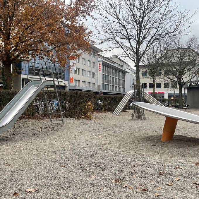 60 Zigi-Stummel auf Aarauer Spielplatz gezählt